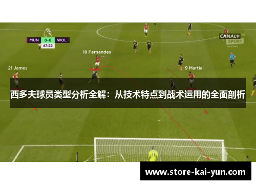 西多夫球员类型分析全解：从技术特点到战术运用的全面剖析