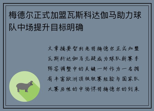 梅德尔正式加盟瓦斯科达伽马助力球队中场提升目标明确