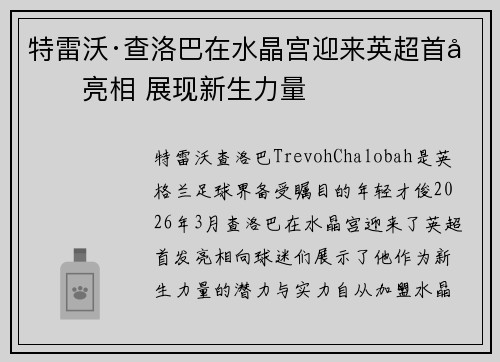 特雷沃·查洛巴在水晶宫迎来英超首发亮相 展现新生力量